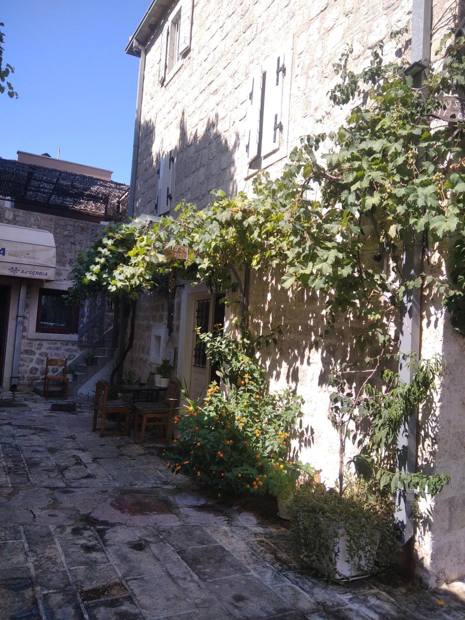 בודווה Michel Guest House מראה חיצוני תמונה